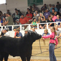 IMG_5579.JPG