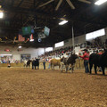 IMG_5587.JPG