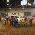 IMG_5590.JPG