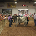 IMG_5616.JPG