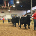 IMG_5680.JPG