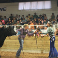IMG_5692.JPG