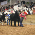 IMG_5733.JPG