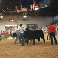 IMG_5734.JPG