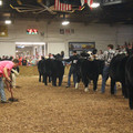 IMG_5763.JPG