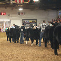 IMG_5767.JPG