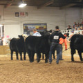 IMG_5769.JPG