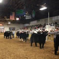 IMG_5778.JPG