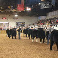 IMG_5785.JPG