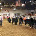 IMG_5786.JPG
