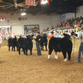 IMG_5795.JPG