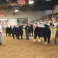 IMG_5796.JPG