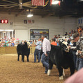 IMG_5808.JPG