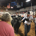 IMG_5821.JPG