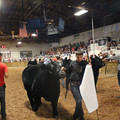 IMG_5829.JPG