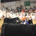 IMG_5855.JPG