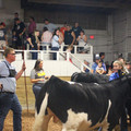 IMG_5862.JPG