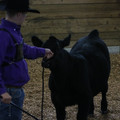 IMG_0058.JPG