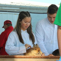 IMG_0080.JPG