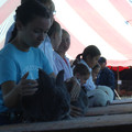 IMG_0090.JPG