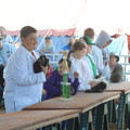 IMG_0107.JPG
