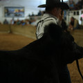 IMG_0181.JPG