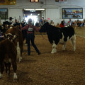 IMG_0185.JPG