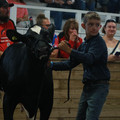 IMG_0361.JPG