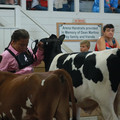 IMG_0364.JPG
