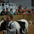 IMG_0875.JPG