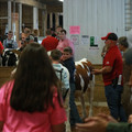 IMG_0896.JPG