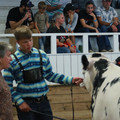 IMG_0969.JPG