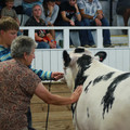 IMG_0970.JPG
