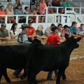 IMG_1085.JPG