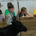 IMG_1090.JPG