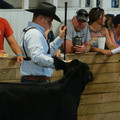 IMG_1091.JPG