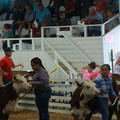 IMG_1118.JPG