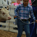 IMG_1127.JPG
