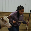 IMG_1132.JPG