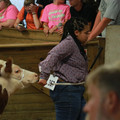 IMG_1133.JPG