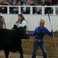 IMG_1146.JPG