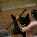IMG_1150.JPG