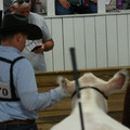 IMG_1167.JPG