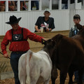 IMG_1173.JPG