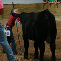 IMG_1176.JPG
