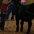 IMG_1189.JPG