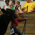 IMG_1191.JPG