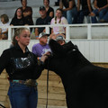 IMG_1196.JPG