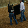 IMG_1214.JPG