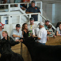 IMG_1217.JPG